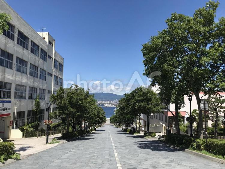 函館、晴れた日の八幡坂空の景色① 函館,八幡坂,坂の写真素材