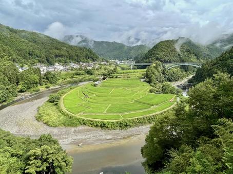 和歌山 あらぎ島 B 和歌山 あらぎ島 B あらぎ島,棚田,田んぼの写真素材