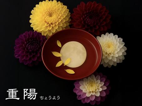 重陽_GS000003 重陽_GS000003の写真