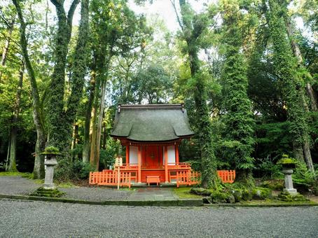 宇佐神宮 宇佐神宮,パワースポット,八幡宮の写真素材