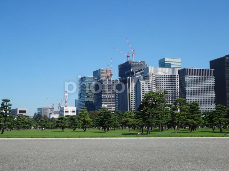 皇居前広場から見るパレスホテルやオフィスビル 皇居,皇居前広場,江戸城の写真素材