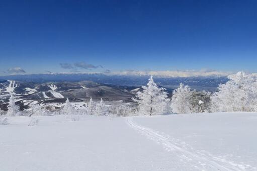 根子岳バックカントリーツアーでの絶景 根子岳,冬,樹氷の写真素材