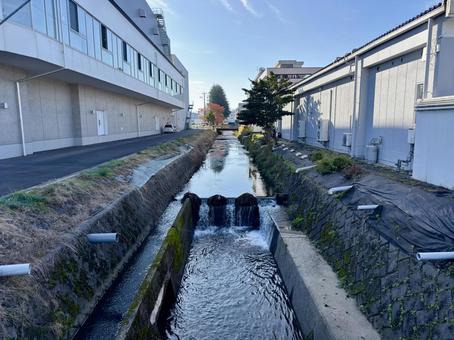 秋の朝方の用水路 秋,朝,日陰の写真素材