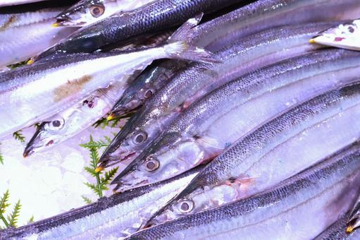 スーパーの秋刀魚売り場 秋の味覚 サンマ スーパーの秋刀魚売り場 秋の味覚 サンマ 秋刀魚,サンマ,秋の味覚の写真素材