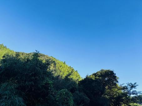 空と森 空と森 晴天,空,自然の写真素材