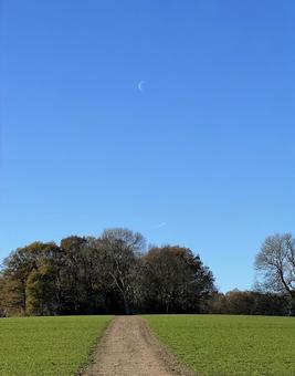 イギリスの田舎の風景 イギリスの田舎の風景の写真