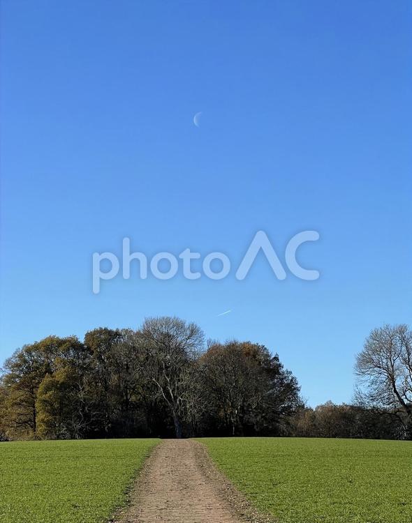 イギリスの田舎の風景 イギリス,田舎,カントリーウォークの写真素材