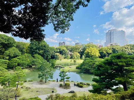 六義園を展望する 六義園,庭園,大名庭園の写真素材