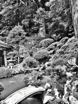 鳥取県-豊乗寺-庭園-白黒 鳥取県-豊乗寺-庭園-白黒の写真
