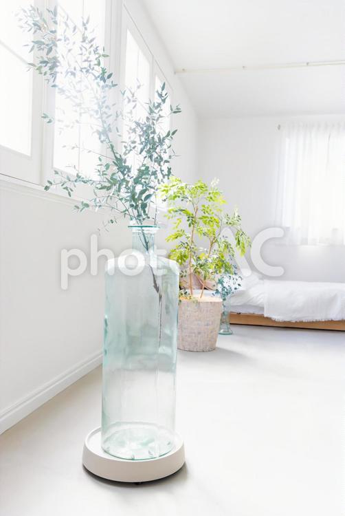 インテリア　リビング　観葉植物　おしゃれ インテリア,観葉植物,植物の写真素材