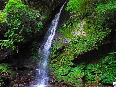 徳島県-琵琶の滝 徳島県-琵琶の滝の写真