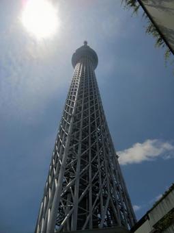 スカイツリー スカイツリーの写真