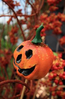 ハロウィーン ハロウィーンの写真