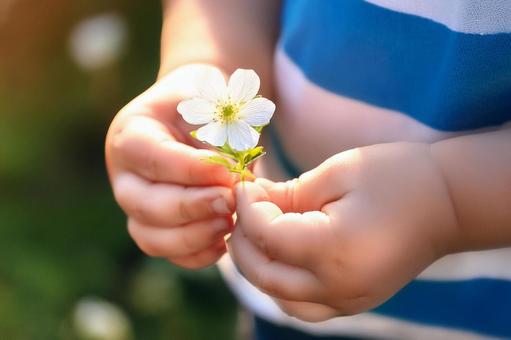 手に持った花 (1) 手に持った花 (1)の写真