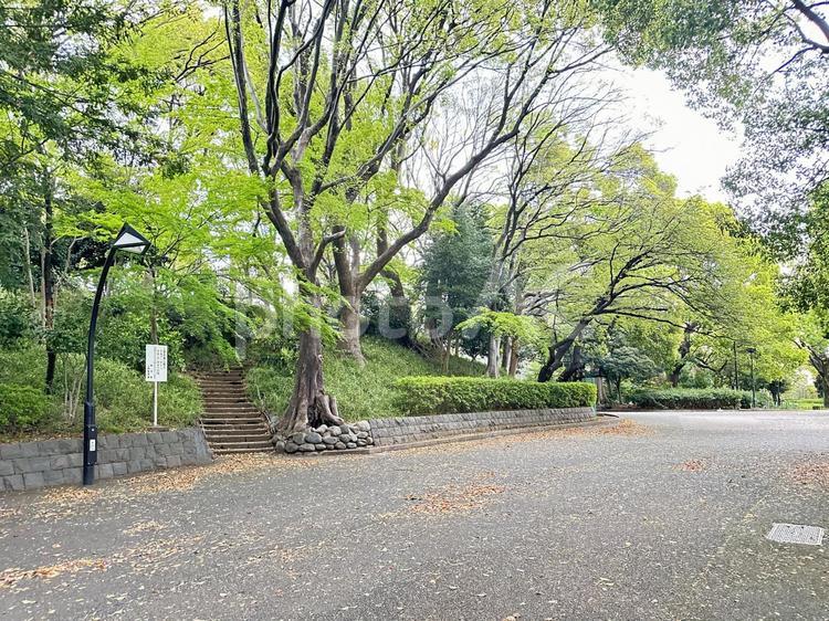 上野恩賜公園　台東区　公共施設 上野恩賜公園,上野公園,台東区の写真素材