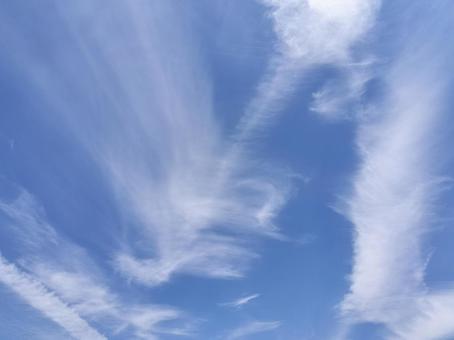 綺麗な雲が浮かぶ青空 綺麗な雲が浮かぶ青空の写真