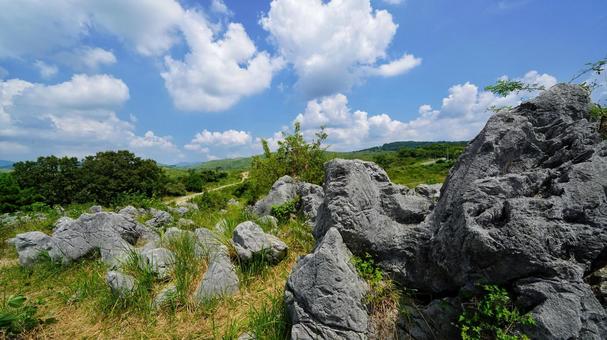 美しきカルスト台地 美しきカルスト台地の写真