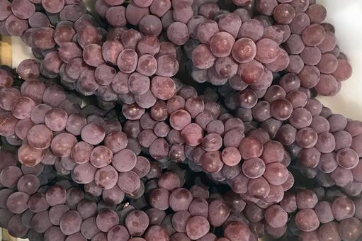 ぶどうの写真