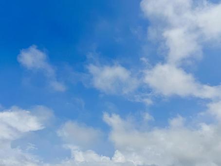 青空 青空 空,青空,背景の写真素材