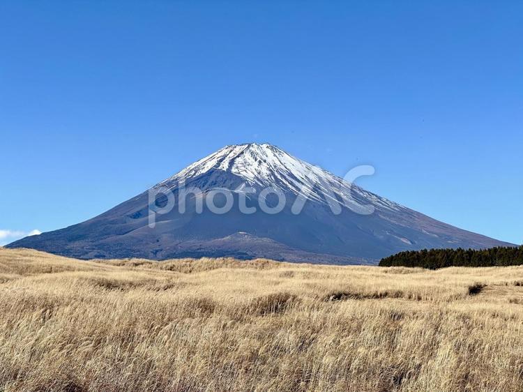冬空と大地と富士山 富士山,自然,風景の写真素材