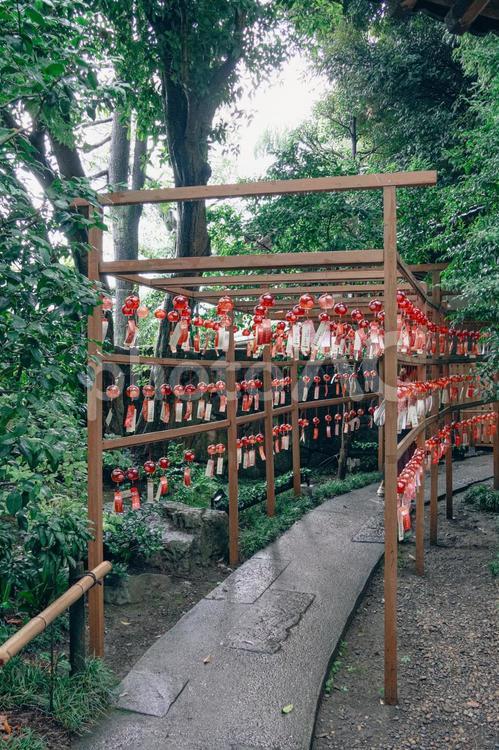 赤い風鈴の景色 久伊豆神社,風鈴,赤の写真素材