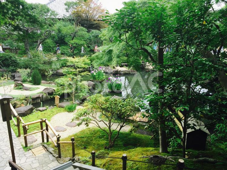 階段下りる途中で森 見下ろす,住宅街,空の写真素材