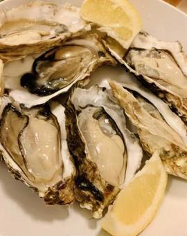 カキ 牡蠣 レモン 新鮮 美味しい カキ 牡蠣 レモン 新鮮 美味しいの写真