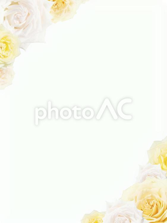 薔薇フレーム　黄色 薔薇,ブライダル,黄色い薔薇の写真素材