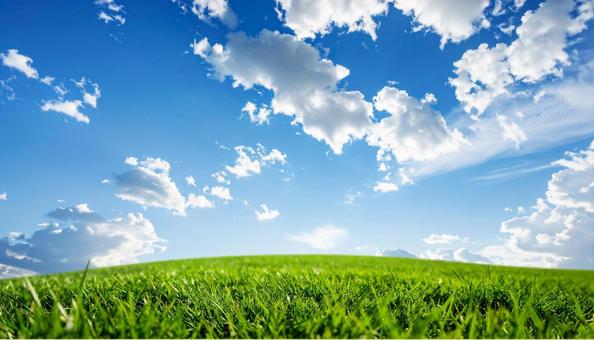 草原と青い空の写真