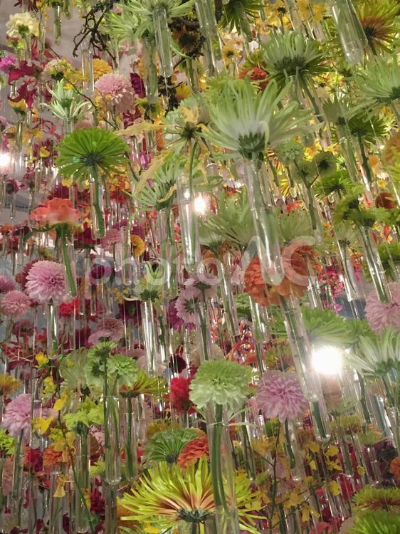 試験管と花 フラワー,フラワーアレンジメント,花の写真素材