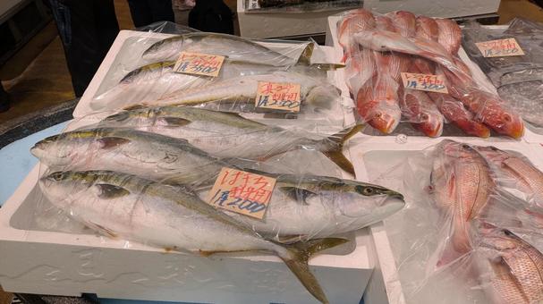 魚市場 魚市場 魚市場,市場,日本海の写真素材