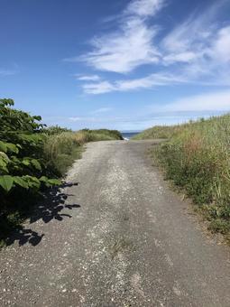 舗装されていない、海岸に向かう道 舗装されていない、海岸に向かう道 自然,海,田舎の写真素材