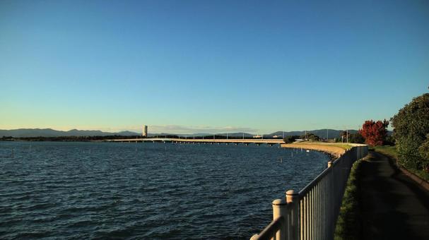 秋の夕日を浴びて輝く浜名湖大橋 秋の夕日を浴びて輝く浜名湖大橋 夕日,秋,浜名湖大橋の写真素材