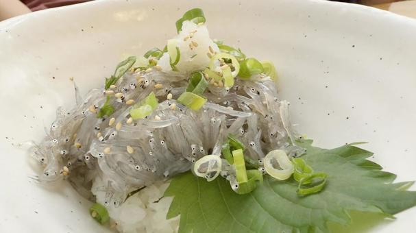 新鮮な生しらす丼 新鮮な生しらす丼の写真