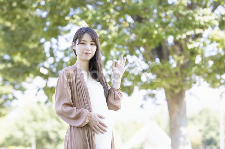 マタニティ／妊婦のイメージ 妊婦,妊娠,マタニティの写真素材