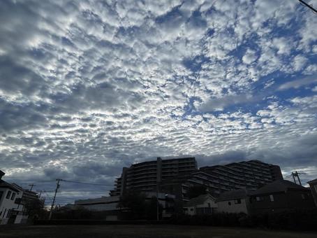 ひつじ雲 ひつじ雲 雲,空,ひつじ雲の写真素材