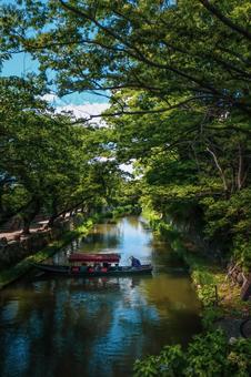 屋形船 屋形船 屋形船,川,夏の写真素材