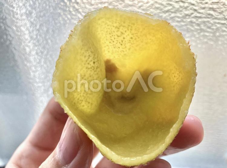 中身がないキウイの皮 キウイフルーツ,キウイ,カットの写真素材