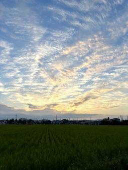 夕方の田園風景 夕方の田園風景の写真