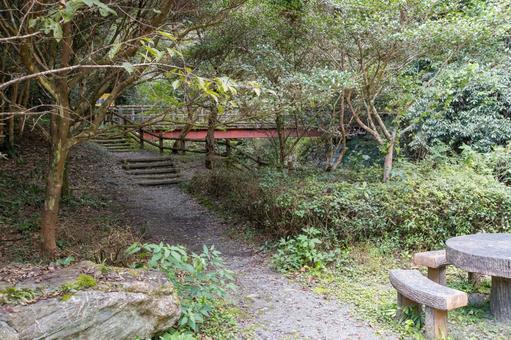静岡県浜松市　秋の仙厳の滝 遊歩道 日本,静岡県,浜松市の写真素材