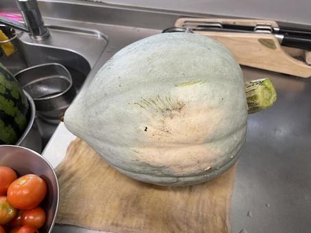 カボチャ カボチャ,野菜,採れたての写真素材