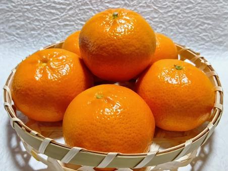 オレンジ オレンジ,柑橘類,果実の写真素材