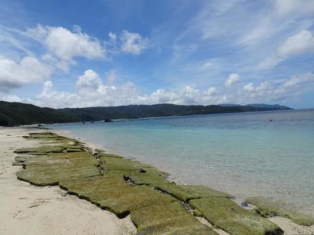 奄美大島 奄美大島の写真