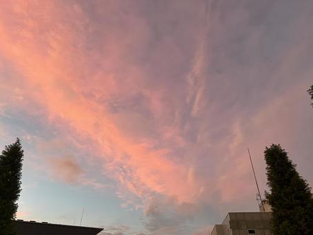 Beautiful summer pink sunset sky, JPG
