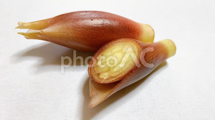 野菜　みょうが　断面　素材 みょうが,ミョウガ,薬味の写真素材