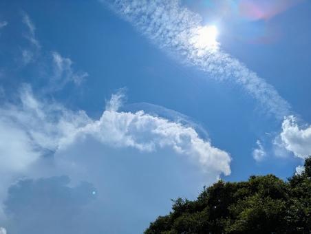 夏空 夏空の写真