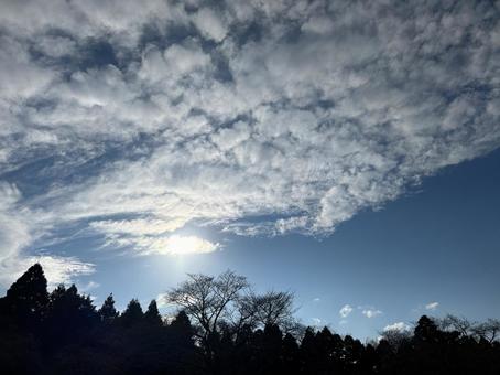秋の空 秋の空の写真