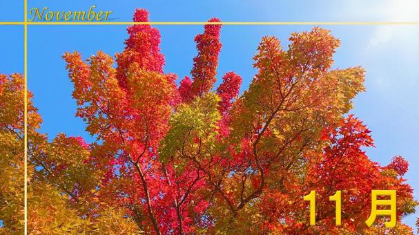 11月-2 11月-2 11月,november,霜月の写真素材