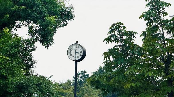 公園の時計 公園の時計の写真