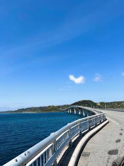 角島 角島の写真